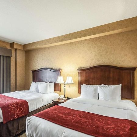 Comfort Suites Alamo-River Walk San Antonio Eksteriør bilde