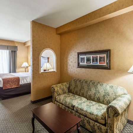 Comfort Suites Alamo-River Walk San Antonio Eksteriør bilde