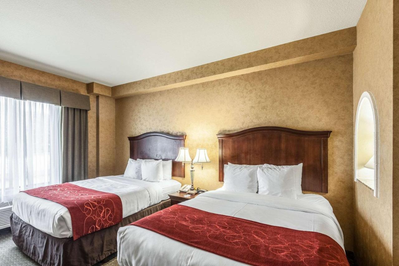 Comfort Suites Alamo-River Walk San Antonio Eksteriør bilde